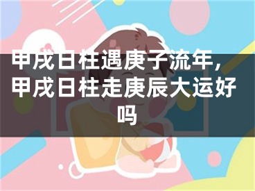 甲戌日柱遇庚子流年,甲戌日柱走庚辰大运好吗