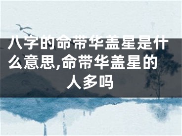 八字的命带华盖星是什么意思,命带华盖星的人多吗