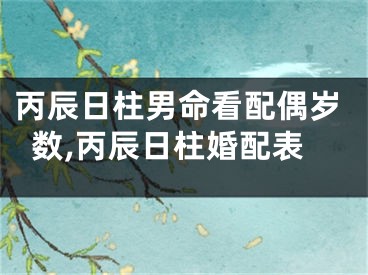 丙辰日柱男命看配偶岁数,丙辰日柱婚配表