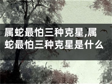 属蛇最怕三种克星,属蛇最怕三种克星是什么
