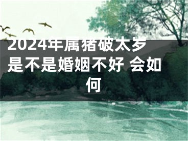 2024年属猪破太岁是不是婚姻不好 会如何