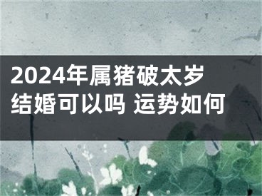 2024年属猪破太岁结婚可以吗 运势如何