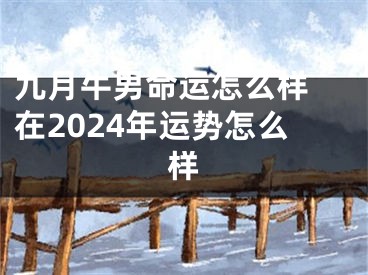 九月牛男命运怎么样 在2024年运势怎么样