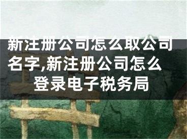 新注册公司怎么取公司名字,新注册公司怎么登录电子税务局