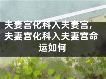 夫妻宫化科入夫妻宫,夫妻宫化科入夫妻宫命运如何