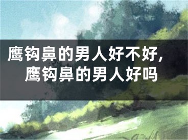 鹰钩鼻的男人好不好,鹰钩鼻的男人好吗