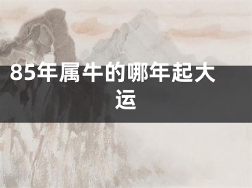 85年属牛的哪年起大运