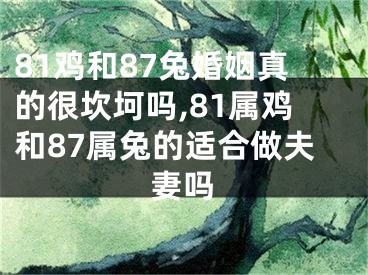 81鸡和87兔婚姻真的很坎坷吗,81属鸡和87属兔的适合做夫妻吗