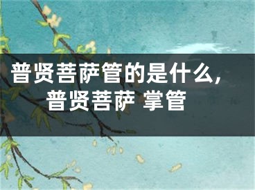 普贤菩萨管的是什么,普贤菩萨 掌管