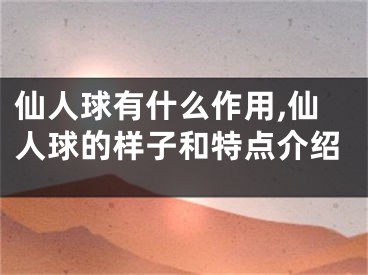 仙人球有什么作用,仙人球的样子和特点介绍