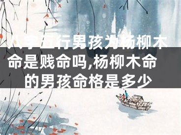 八字五行男孩为杨柳木命是贱命吗,杨柳木命的男孩命格是多少
