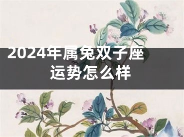 2024年属兔双子座运势怎么样