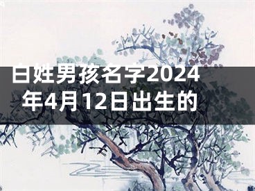 白姓男孩名字2024年4月12日出生的