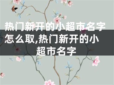 热门新开的小超市名字怎么取,热门新开的小超市名字
