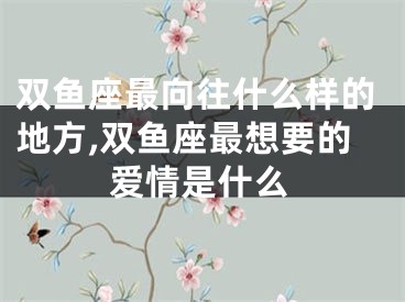 双鱼座最向往什么样的地方,双鱼座最想要的爱情是什么