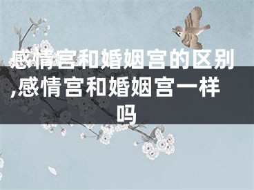 感情宫和婚姻宫的区别,感情宫和婚姻宫一样吗