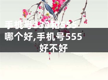 手机号333和555哪个好,手机号555好不好