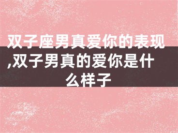 双子座男真爱你的表现,双子男真的爱你是什么样子
