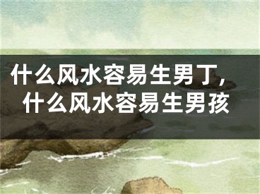 什么风水容易生男丁,什么风水容易生男孩