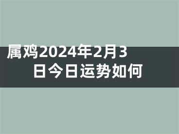 属鸡2024年2月3日今日运势如何