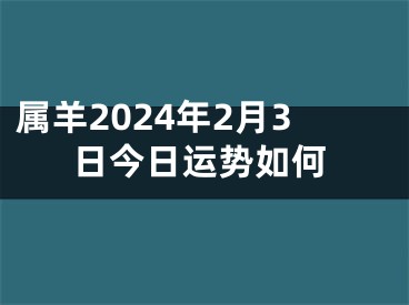 属羊2024年2月3日今日运势如何