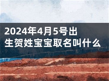 2024年4月5号出生贺姓宝宝取名叫什么