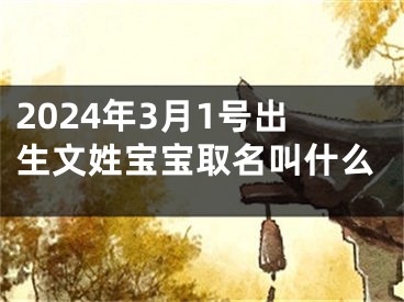 2024年3月1号出生文姓宝宝取名叫什么