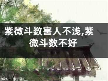 紫微斗数害人不浅,紫微斗数不好