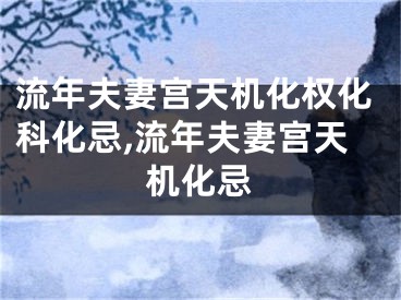 流年夫妻宫天机化权化科化忌,流年夫妻宫天机化忌
