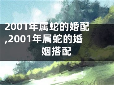 2001年属蛇的婚配,2001年属蛇的婚姻搭配