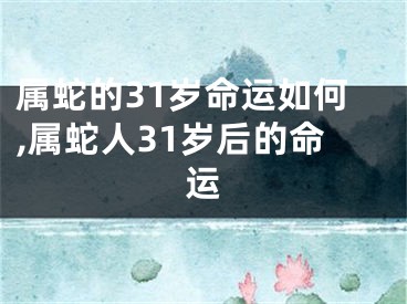 属蛇的31岁命运如何,属蛇人31岁后的命运