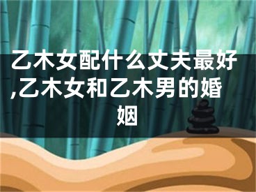 乙木女配什么丈夫最好,乙木女和乙木男的婚姻