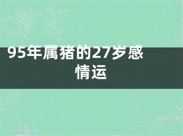 95年属猪的27岁感情运
