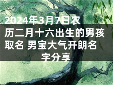 2024年3月7日农历二月十六出生的男孩取名 男宝大气开朗名字分享