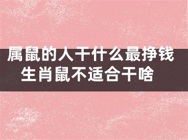 属鼠的人干什么最挣钱 生肖鼠不适合干啥
