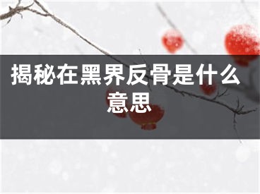 揭秘在黑界反骨是什么意思