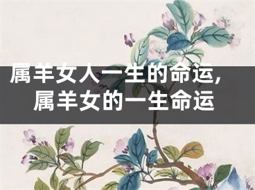 属羊女人一生的命运,属羊女的一生命运