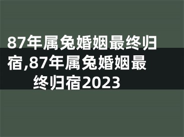 87年属兔婚姻最终归宿,87年属兔婚姻最终归宿2023