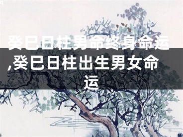 癸巳日柱男命终身命运,癸巳日柱出生男女命运