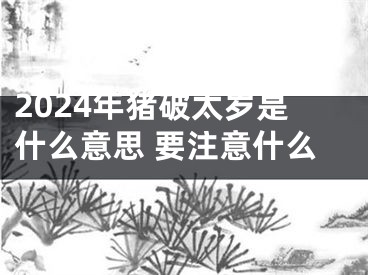 2024年猪破太岁是什么意思 要注意什么