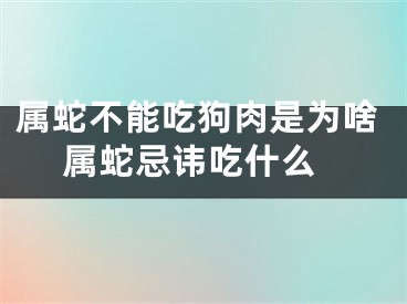 属蛇不能吃狗肉是为啥 属蛇忌讳吃什么