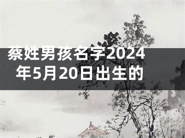 蔡姓男孩名字2024年5月20日出生的