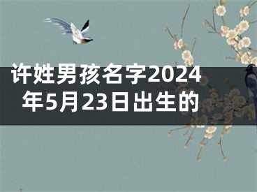 许姓男孩名字2024年5月23日出生的