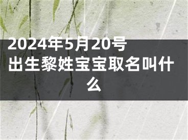 2024年5月20号出生黎姓宝宝取名叫什么