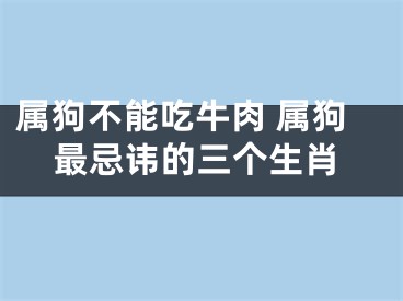 属狗不能吃牛肉 属狗最忌讳的三个生肖