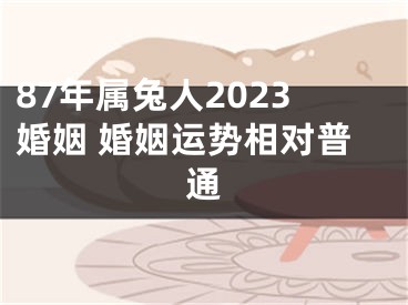 87年属兔人2023婚姻 婚姻运势相对普通