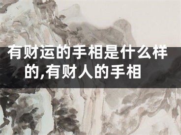 有财运的手相是什么样的,有财人的手相