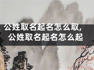 公姓取名起名怎么取,公姓取名起名怎么起