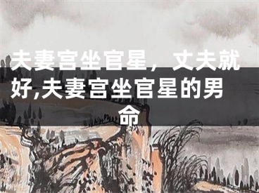 夫妻宫坐官星，丈夫就好,夫妻宫坐官星的男命
