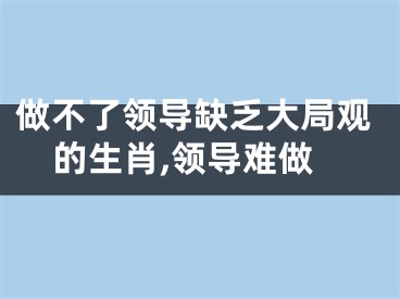 做不了领导缺乏大局观的生肖,领导难做